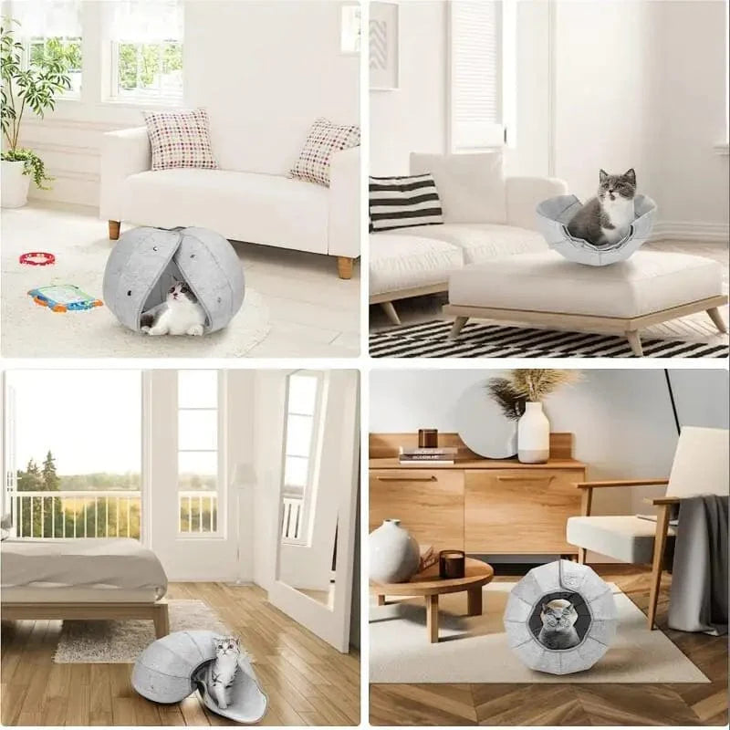 Panier Pliable pour Chat MiaouFold