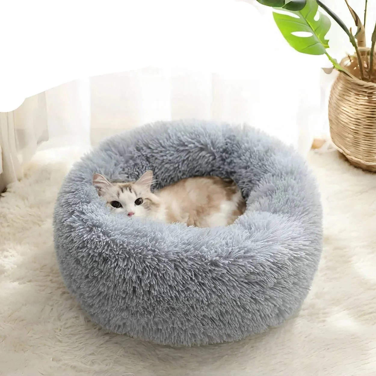 Coussin Anti-Stress Chat Zen