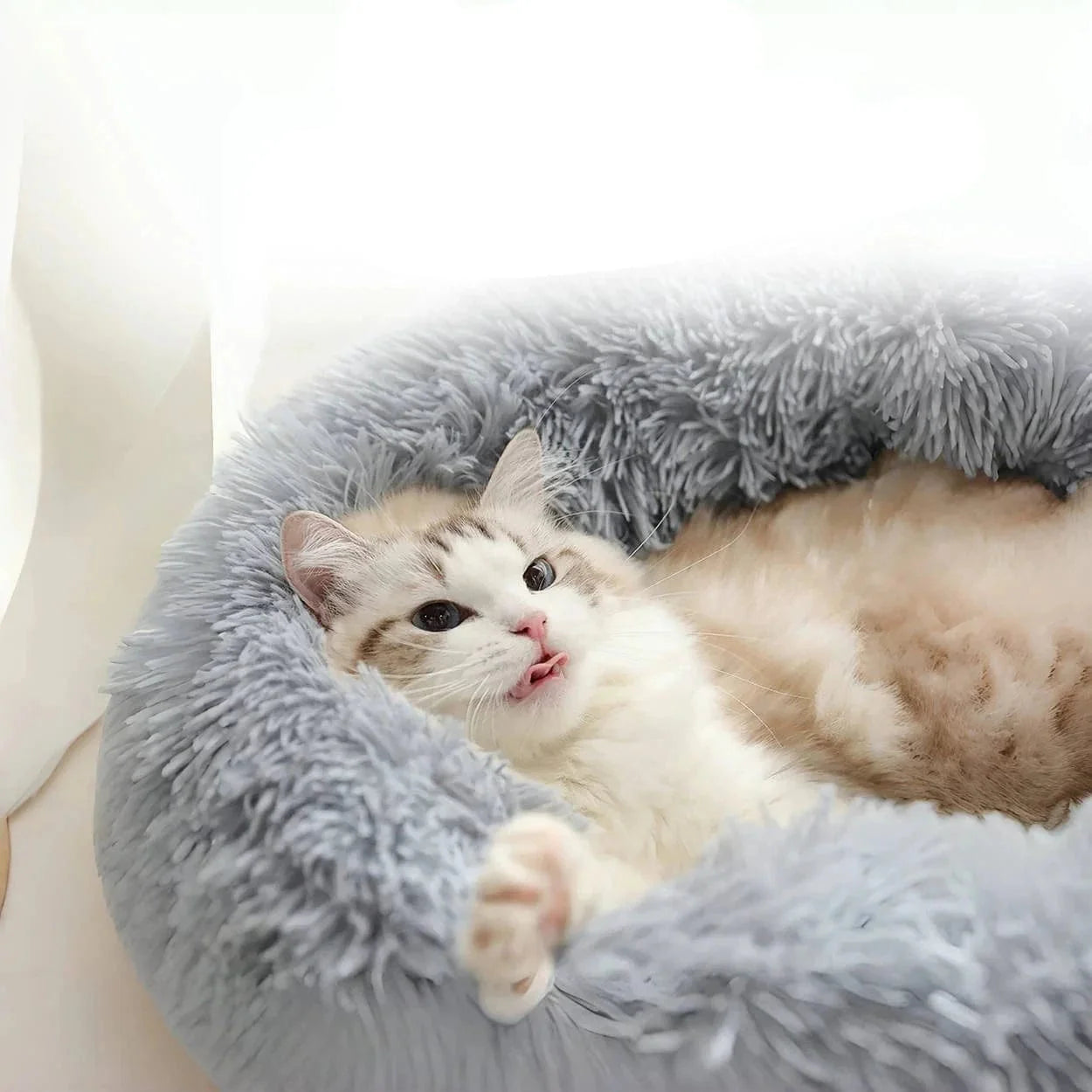 Coussin Anti-Stress Chat Zen