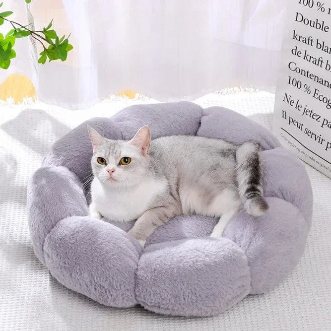 Coussin Chat'Zone