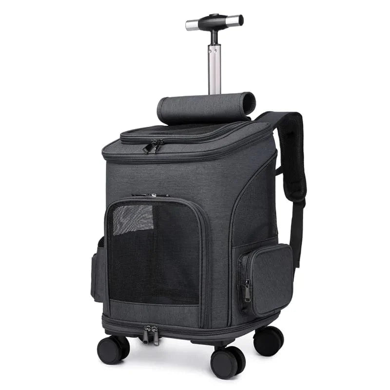 Sac de Transport Chat XXL - Confort ultime pour votre compagnon félin
