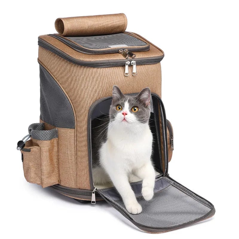 Sac de Transport Chat XXL - Confort ultime pour votre compagnon félin