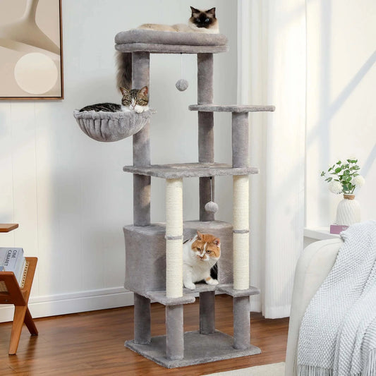 Arbre à Chat Premium pour Adulte