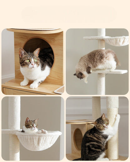Arbre à Chat Deluxe avec Litière
