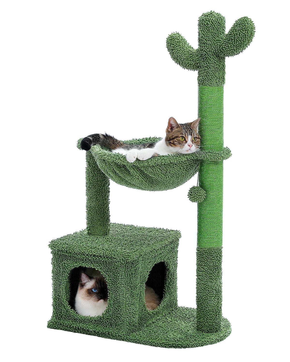 Arbre à Chat Cactus Jungle