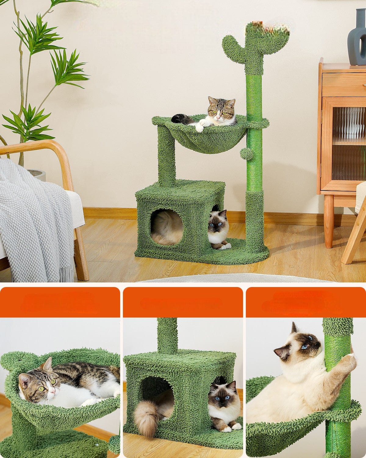 Arbre à Chat Cactus Jungle