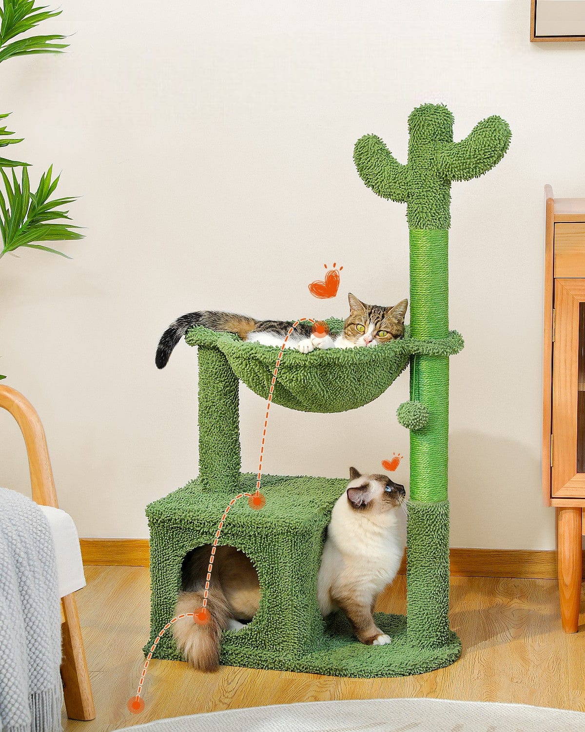 Arbre à Chat Cactus Jungle