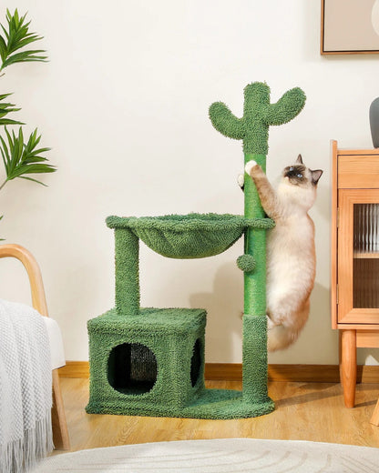 Arbre à Chat Cactus Jungle