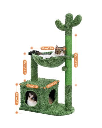 Arbre à Chat Cactus Jungle