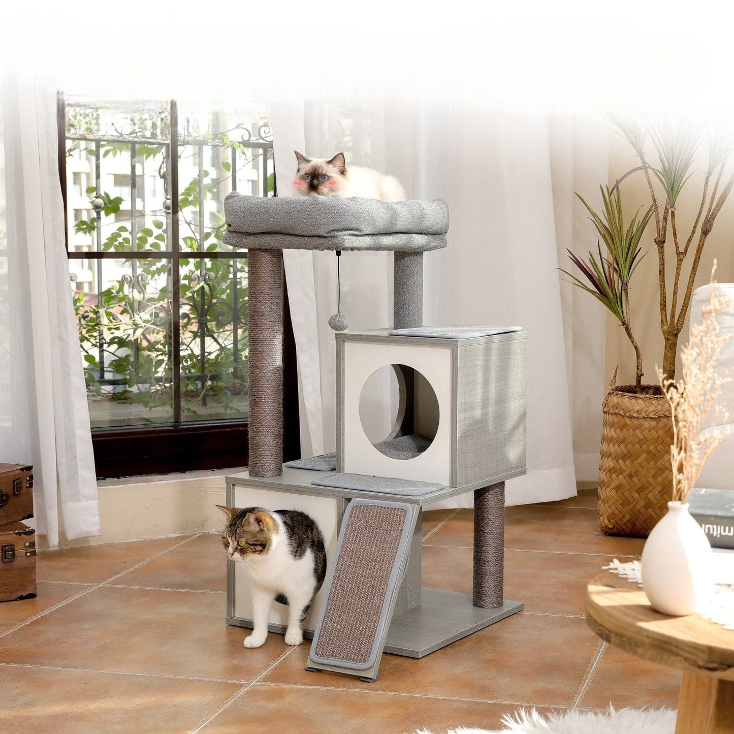 Arbre à Chat Chic et Abordable