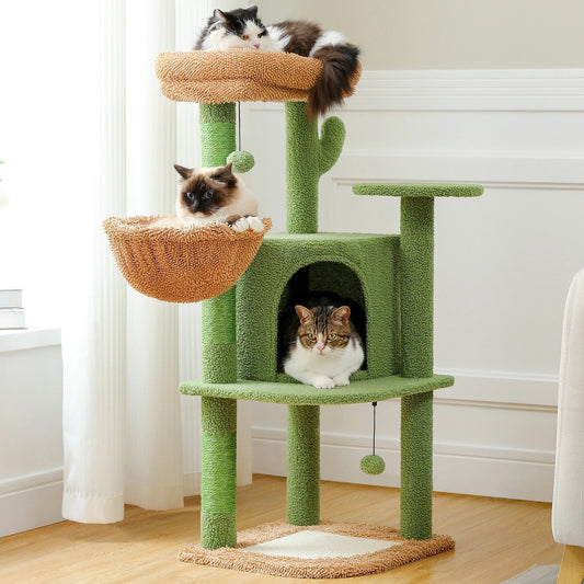 Arbre à Chat Vert Félinia