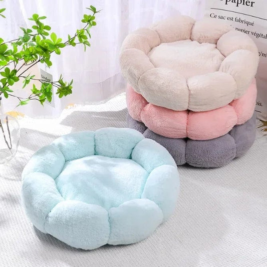 Coussin Chat'Zone