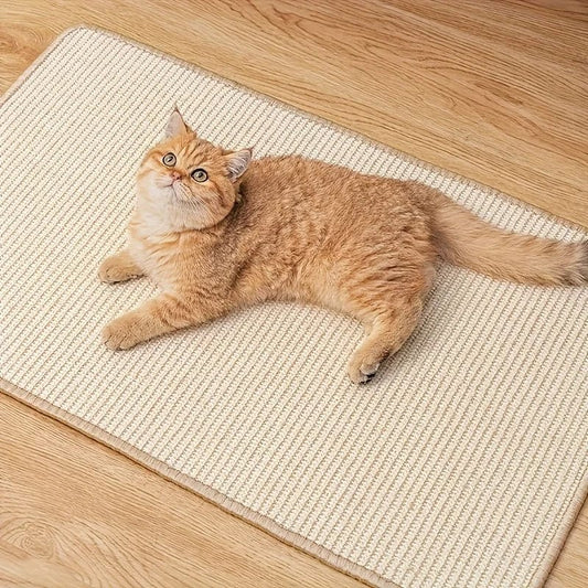 Grattoire Chat'Xpert