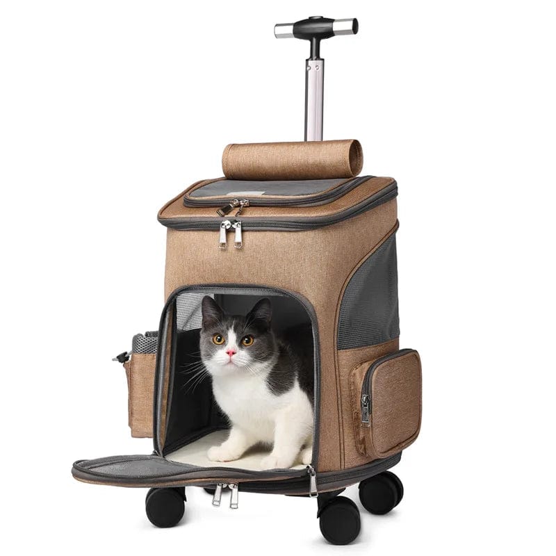 Sac de Transport Chat XXL - Confort ultime pour votre compagnon félin