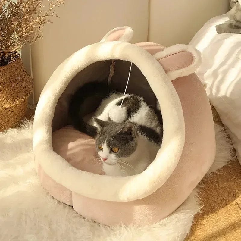 Panier Chat Design Deluxe.