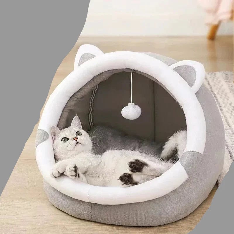 Panier Chat Design Deluxe.