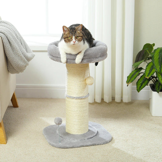 Griffoir pour Chat Poteau de Qualité