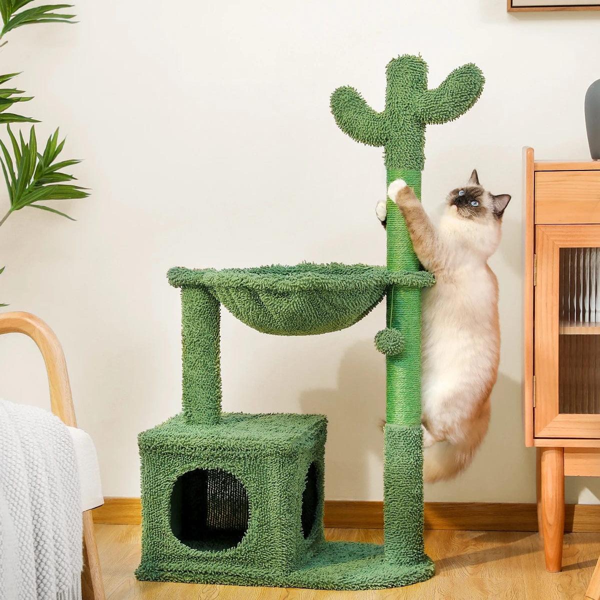 Arbre à Chat Cactus Jungle